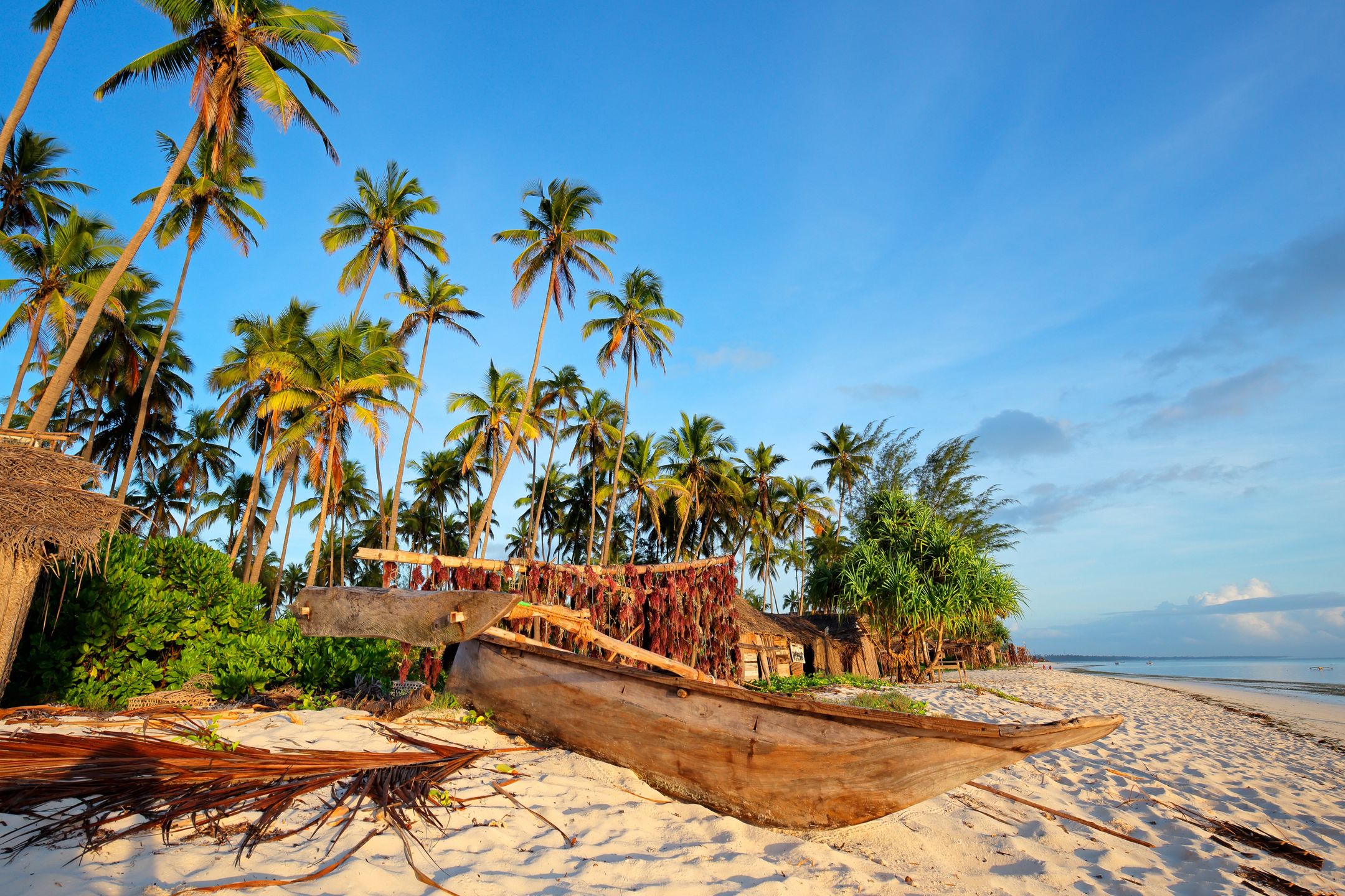 Zanzibar, urlop, ciepłe kraje, palmy, palma, morze, wakacje
