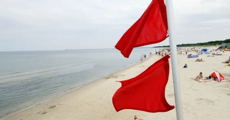 Sanepid ostrzega. Zamknięto już cztery kąpieliska