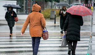Poniedziałek w pogodzie. Deszczowy front i silny wiatr