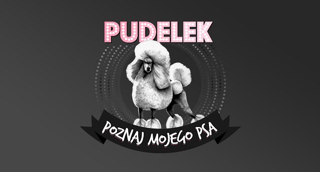 Pudelek.pl z nowym cyklem "Poznaj mojego psa", organizuje zbiórkę charytatywną dla psów na łańcuchu