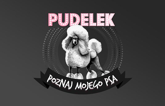 Pudelek.pl z nowym cyklem "Poznaj mojego psa", organizuje zbiórkę charytatywną dla psów na łańcuchu