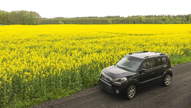 Szkoda, że nowa Kia Soul dostępna jest tylko jako elektryk!