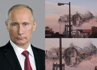 Ptaki nad Nowym Jorkiem wyglądają jak... twarz Putina?! (FOTO)