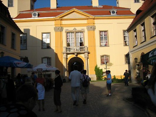 Obraz