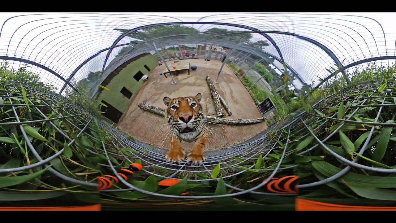 Nikon KeyMission 360 – kamerka, która przetrwa nawet atak tygrysa