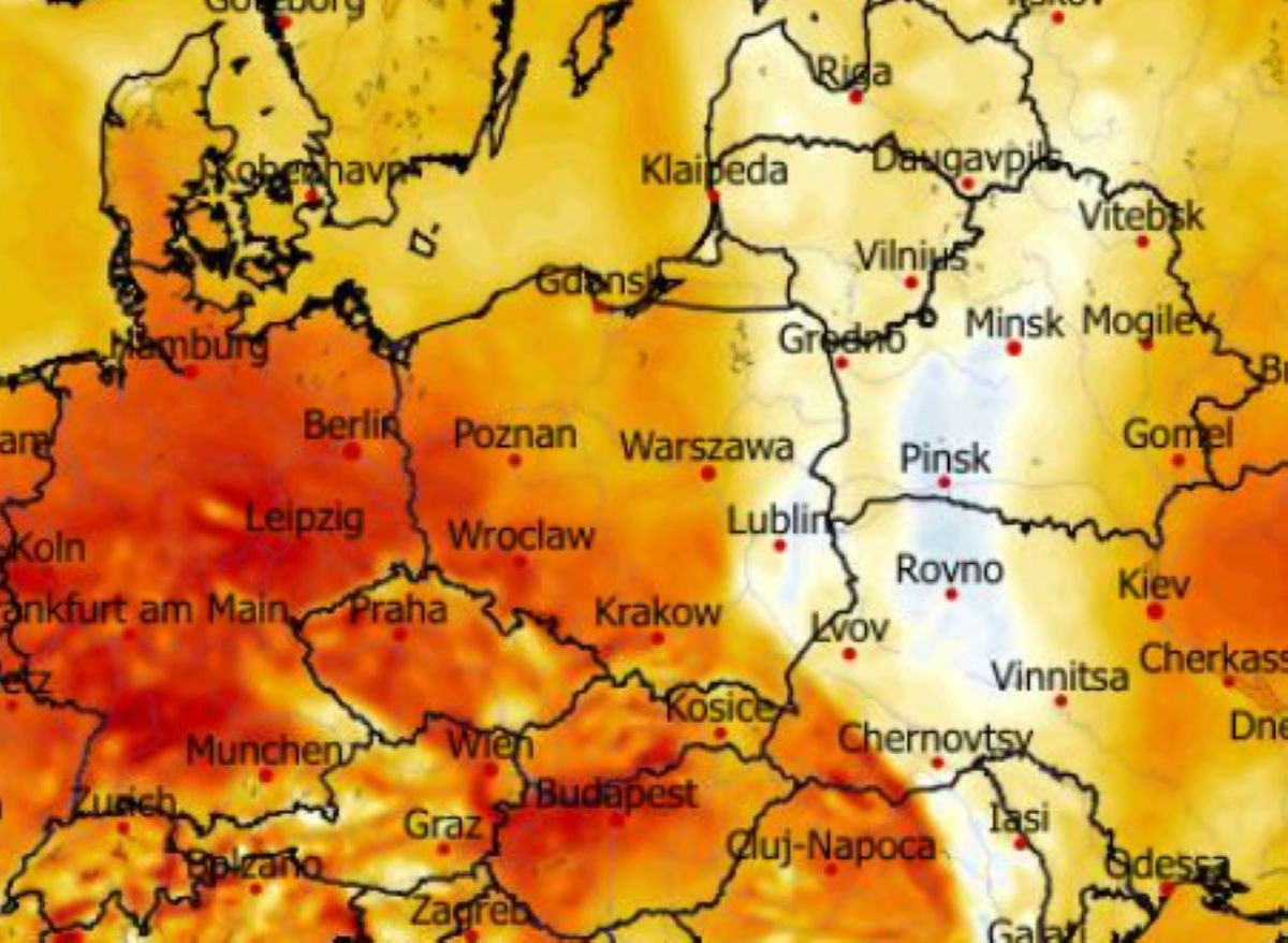 Wiosna w grudniu? Najnowsze prognoza zaskakuje