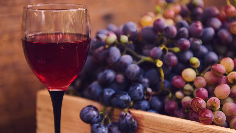 Wino z winogron