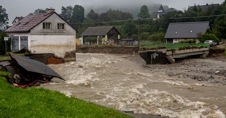"To hienizm i podłość". Zaczęło się w Czechach. Oto co robią ludzie