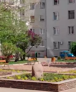 Wrocław. Grow Green. Kwiaty rosną na betonie