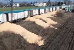 Dziesiątki ton zniszczonego zboża. Ekspert: Robota ruskiej agentury