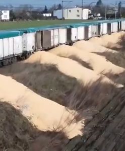 Dziesiątki ton zniszczonego zboża. Ekspert: Robota ruskiej agentury