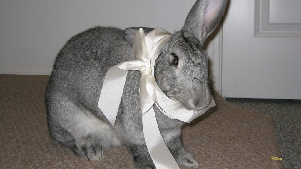 To już pewne: koniec z prezentami na Facebooku 1