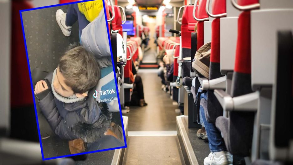 Kobieta skarży się na pasażerów z pociągu. Internauci nie zostawili na niej suchej nitki