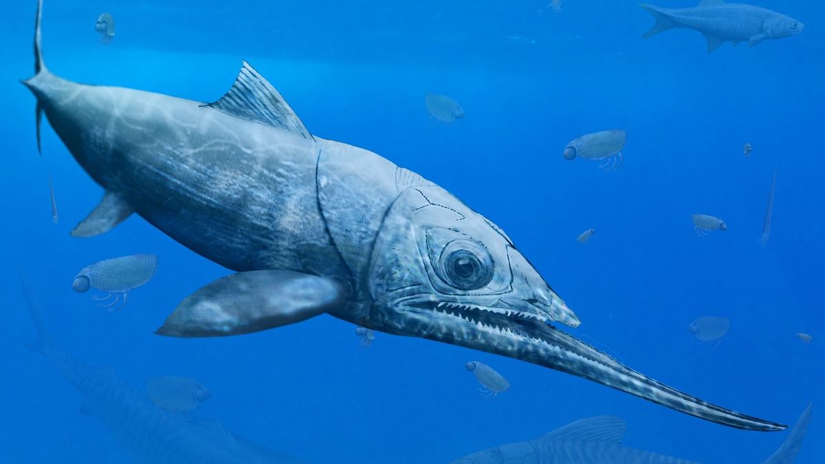 Alienacanthus - ryba odkryta przez Juliana Kulczyckiego