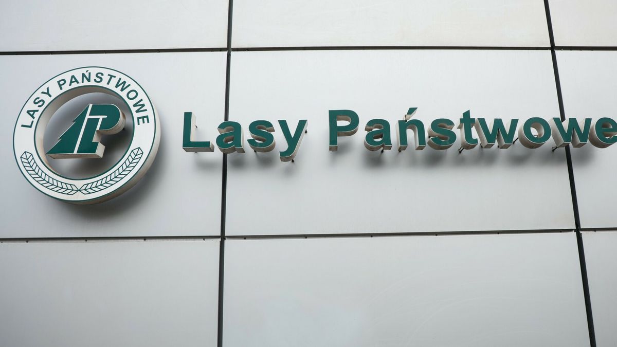 Spotkanie z dyrektorem generalnym Las�w Pa?stwowychFot. Wojciech Olkusnik/East News, Warszawa, 29.11.2024. Spotkanie z dyrektorem generalnym LP Witoldem Kossem, dotyczace decyzji Lasow Panstwowych o objeciu dodatkowa ochrona 17% lasow w zarzadzie LP.Wojciech Olkusnik