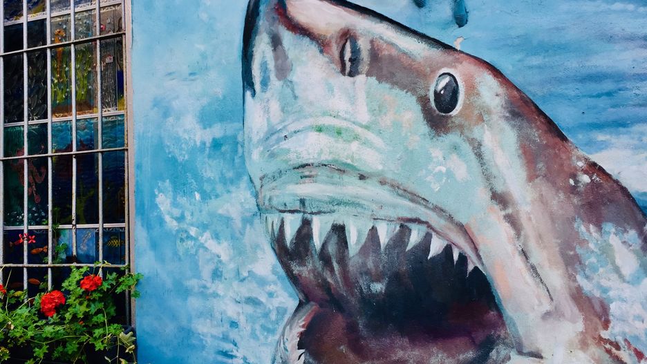 Mural z podwórka na Nadodrzu we Wrocławiu