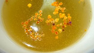 Na wzmocnienie odporności i serca. Domowa mikstura