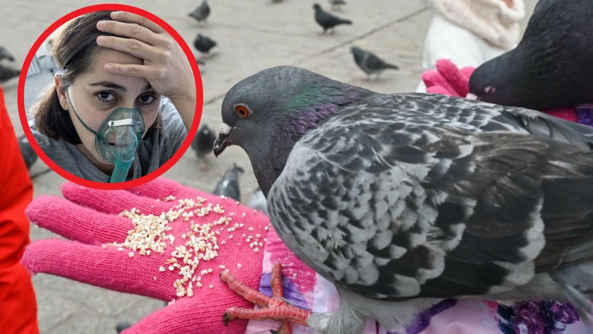 WHO ostrzega przed chorobą przenoszoną przez ptaki. Zmarło 5 osób. Czy w Polsce są powody do obaw?