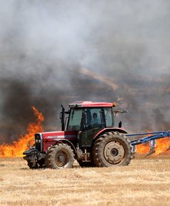Ogromne upały w Turcji. Tak radzą sobie rolnicy