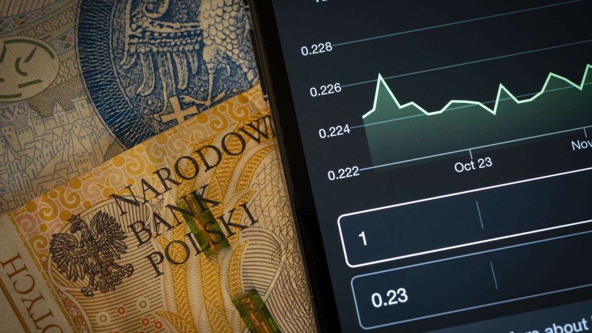 Polish zloty currency money bills are seen in this illustration photo on 15 November, 2023. (Photo by Jaap Arriens/NurPhoto via Getty Images)