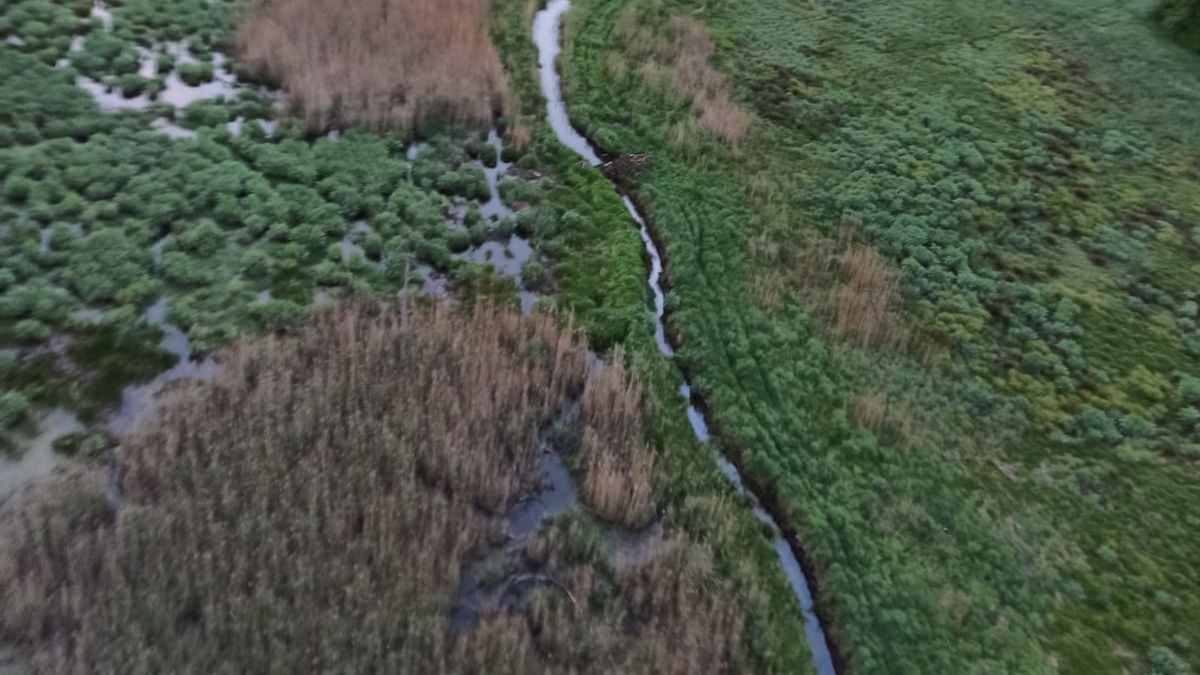 załoga śmigłowca zauważyła zaginioną 87-latkę