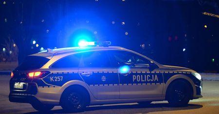 Tragedia na drodze w Brzeźnicy Leśnej. Motocykl zderzył się z łosiem. 10-latka w ciężkim stanie