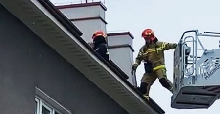 Czterolatek wdrapał się na dach budynku. Matka była nietrzeźwa