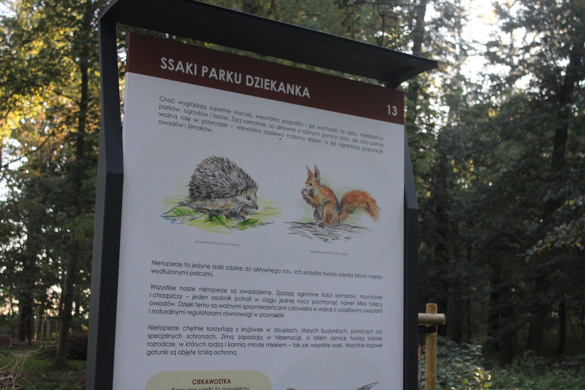 Park przy &#34;Dziekance&#34; został zrewitalizowany. Zadanie kosztowało 4,5 mln zł