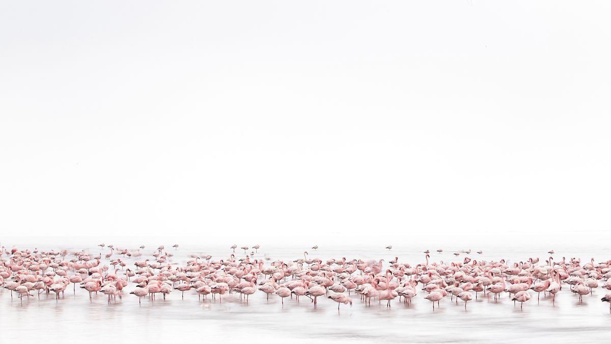 Najlepsze zdjęcia z kategorii otwartej konkursu Sony World Photography Awards 2017 1