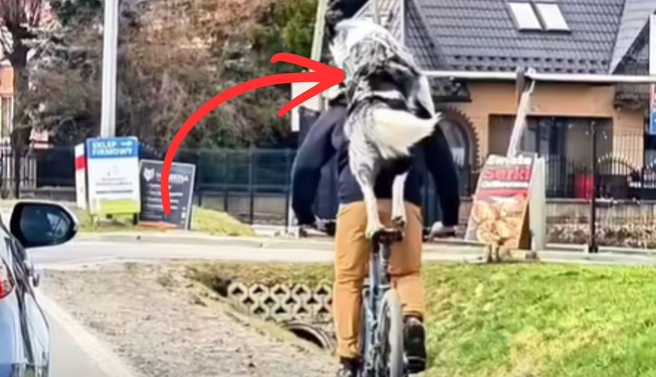 "Gdzieś na Podhalu". Nagranie podbija sieć. Spójrzcie