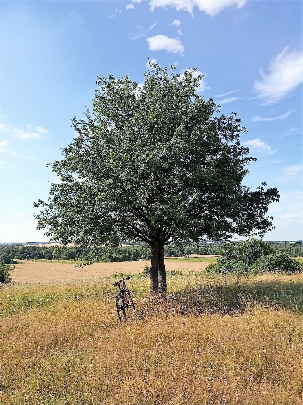 Trasy rowerowe jura krakowsko-częstochowska – aplikacja