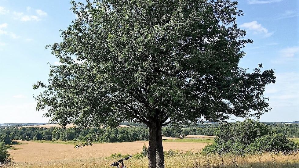 Trasy rowerowe jura krakowsko-częstochowska
