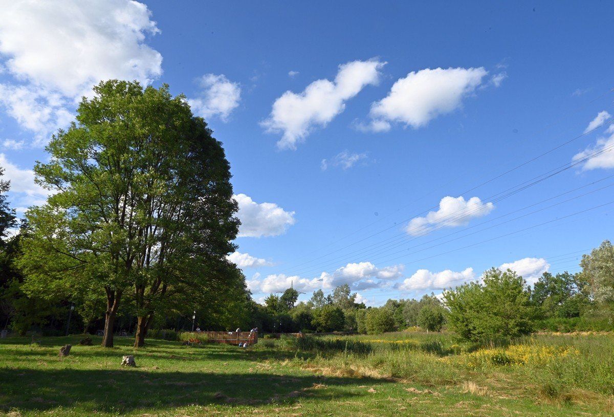Park Zimnej Wody zachwyca od trzech lat