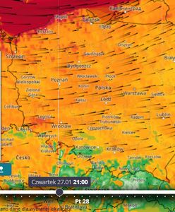 Pogoda. Niż Marie i wichura nad Polską. Są pierwsze zniszczenia
