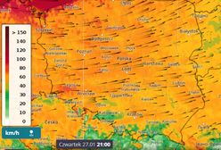Pogoda. Niż Marie i wichura nad Polską. Są pierwsze zniszczenia