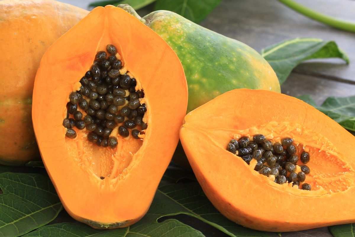 Papaya is a rich source of numerous healthy microelements.