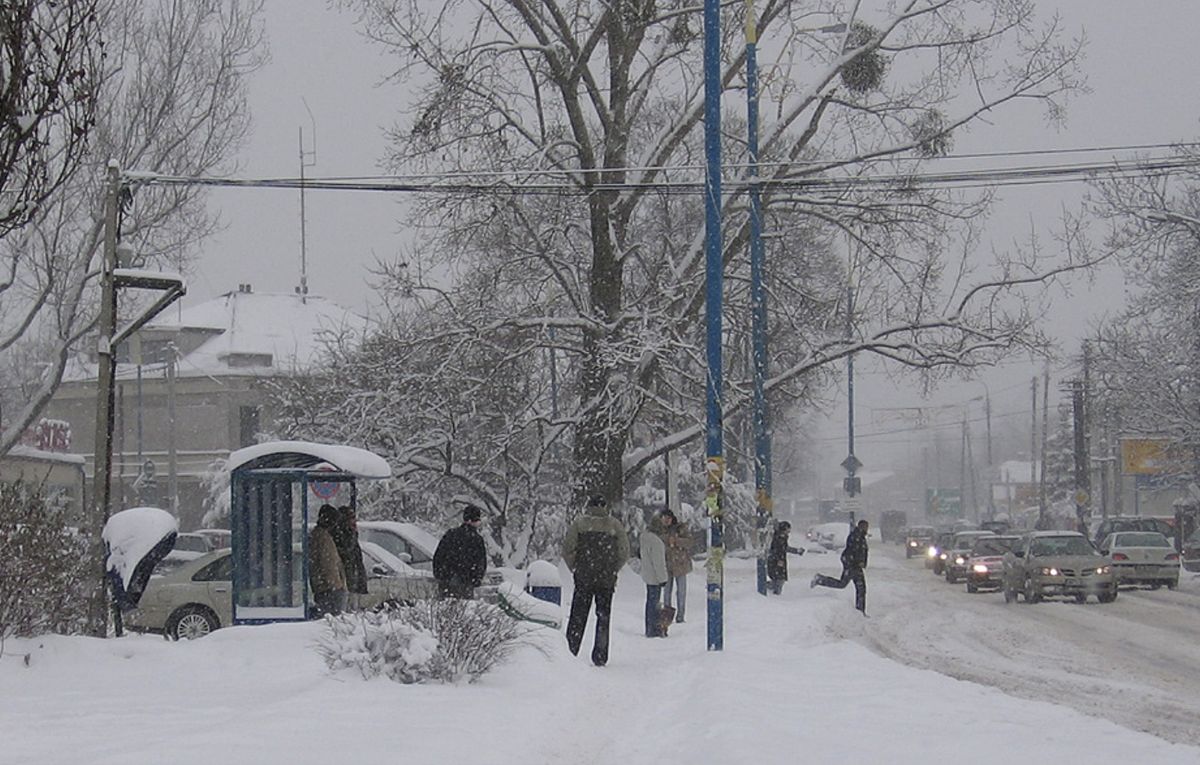 Zima na warszawskiej ulicy