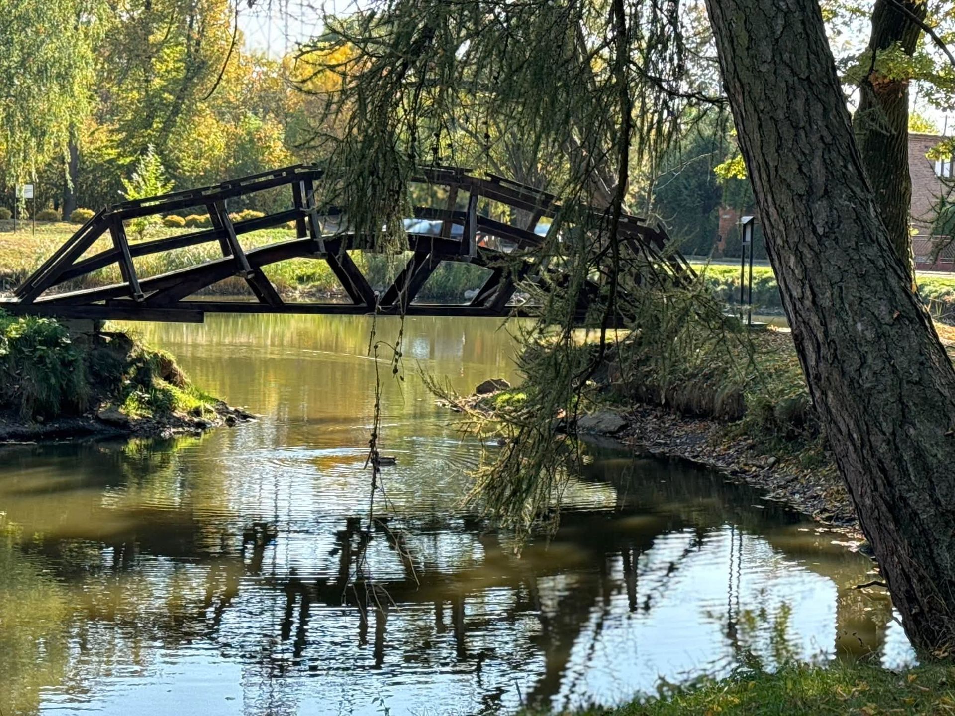Park im. Jana Kochanowskiego w Radzanowie