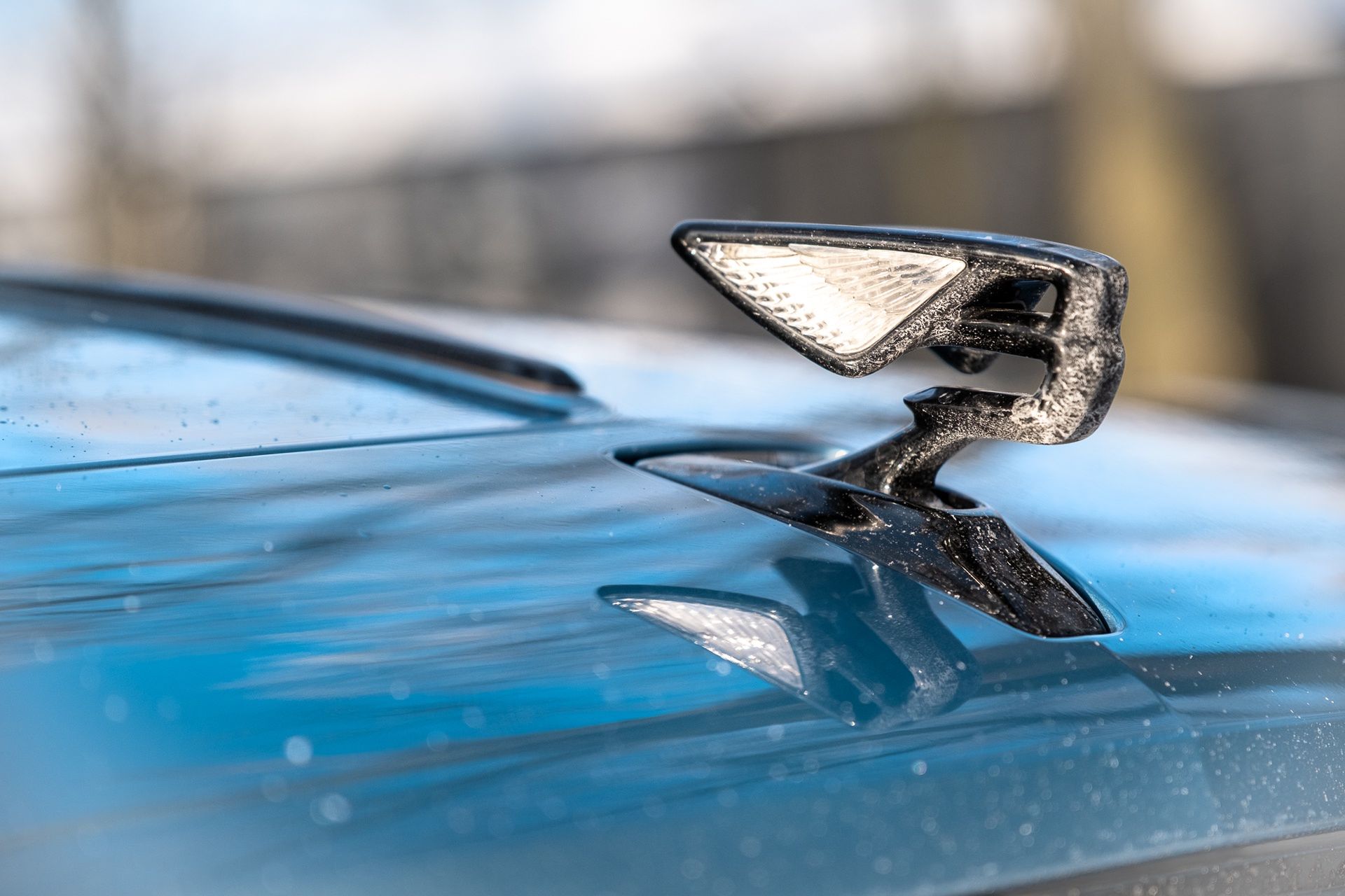 Bentley Flying Spur Azure (2026)