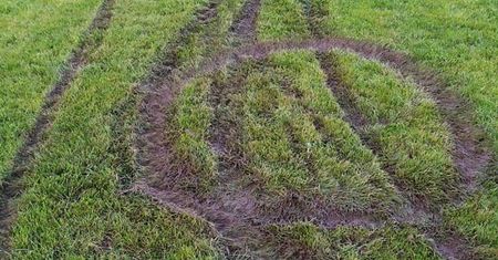 Głogów. Zatrzymano wandali. Nastolatkowie odpracują swoją głupotę