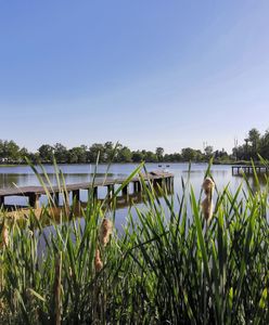 Wrocław. Weekend nad Stawami Milickimi? Koleje Dolnośląskie przygotowały nowe bilety