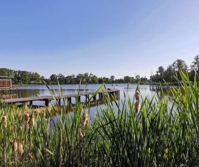 Wrocław. Weekend nad Stawami Milickimi? Koleje Dolnośląskie przygotowały nowe bilety