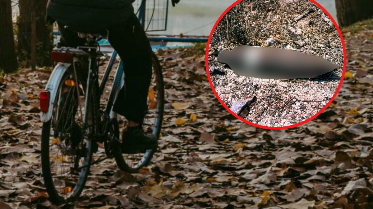 rowerzysta rower niewybuch odkrycie