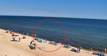 Była godzina 10, a w Chłapowie taki widok. Wszystko uchwyciły kamery