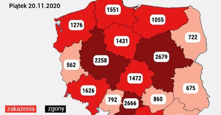Koronawirus w Polsce. Liczby nie maleją. Najnowsze dane z Ministerstwa Zdrowia [20 listopada]