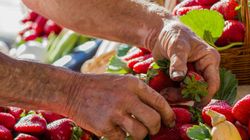 Maltańczycy żyją średnio 84 lata. Jakie czynniki wpływają na długie życie mieszkańców Malty?