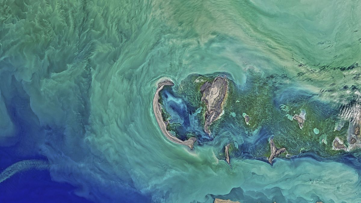 morze ocean woda naukowcy