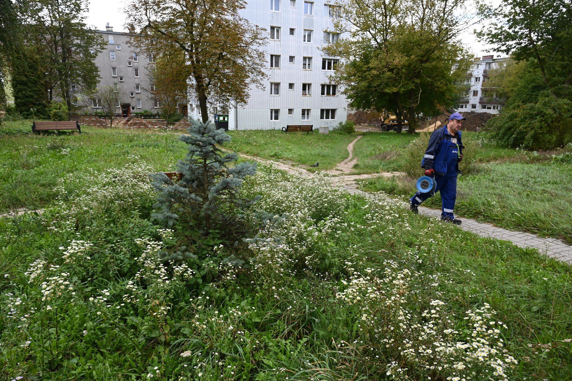 &#34;Park Kieszonkowy - Zielona Enklawa&#34; to projekt rejonowy wart 250 tysięcy złotych, który zakłada przekształcenie zaniedbanego skweru przy ulicy Starej 3 w kameralną przestrzeń do wypoczynku i rekreacji.