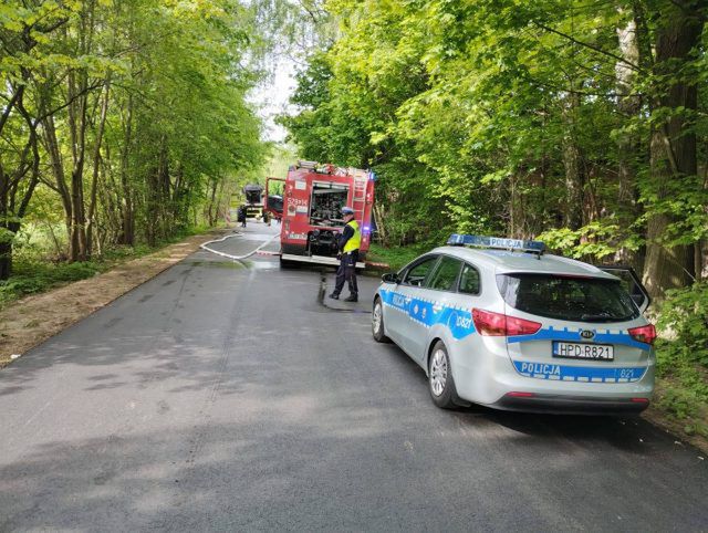 Policja Ryki