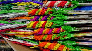 Białystok: Wierbnica i poświęcenie palm w soborze